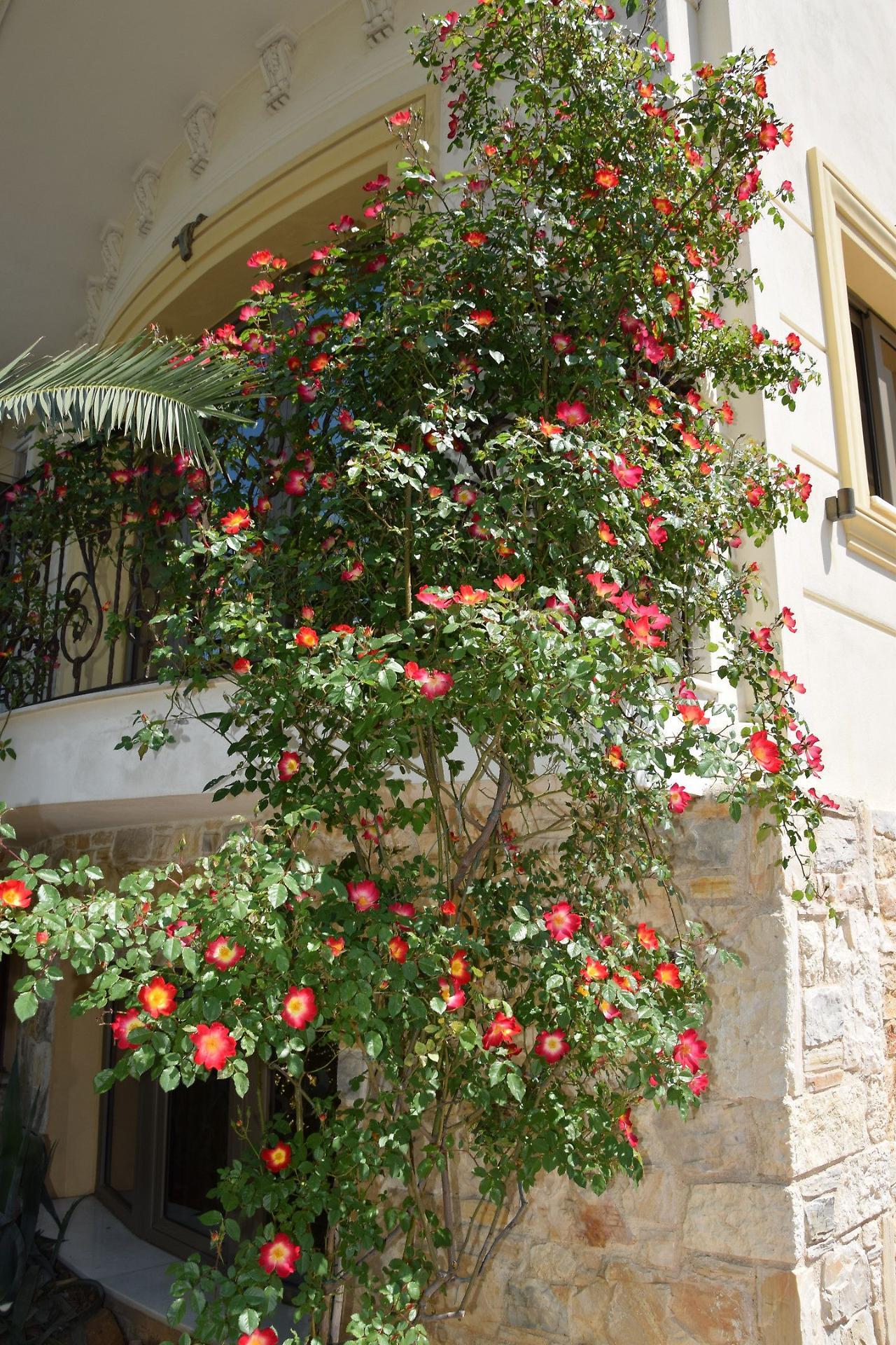 Olympic Fashion Hotels Atenas Exterior foto